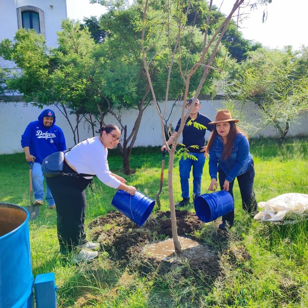 Vecinas y vecinos riegan con cubetas un árbol recién plantado en un parque.