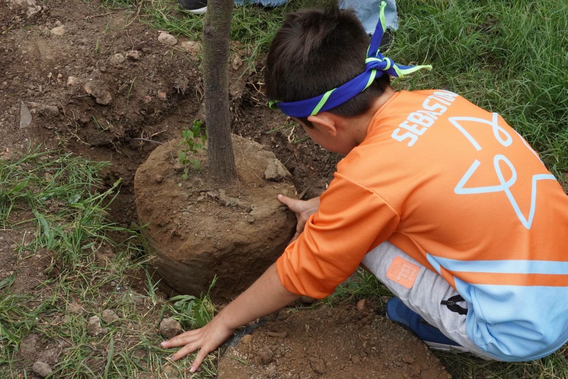 Un niño con playera naranja acomoda la tierra alrededor de un árbol recién plantado.